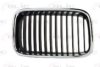 BLIC 6502-07-0060992P Radiator Grille